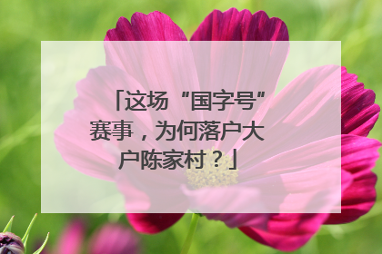 这场“国字号”赛事，为何落户大户陈家村？
