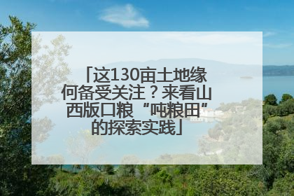 这130亩土地缘何备受关注？来看山西版口粮“吨粮田”的探索实践