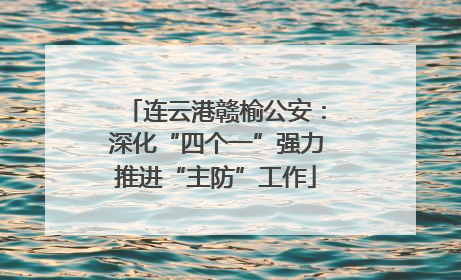 连云港赣榆公安：深化“四个一”强力推进“主防”工作