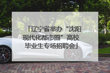 辽宁省举办“沈阳现代化都市圈”高校毕业生专场招聘会