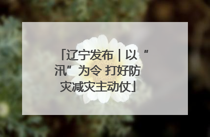 辽宁发布｜以“汛”为令 打好防灾减灾主动仗