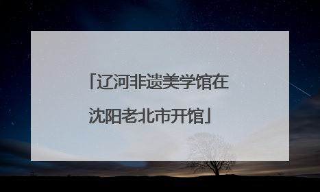 辽河非遗美学馆在沈阳老北市开馆