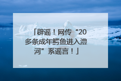辟谣！网传“20多条成年鳄鱼进入澧河”系谣言！
