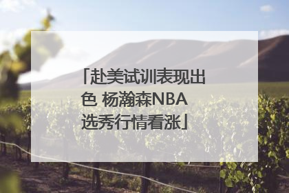 赴美试训表现出色 杨瀚森NBA选秀行情看涨