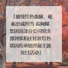 赓续红色血脉、砥砺忠诚担当 省网媒集团菏泽分公司党支部到张和庄社区红色基因传承馆开展主题党日活动