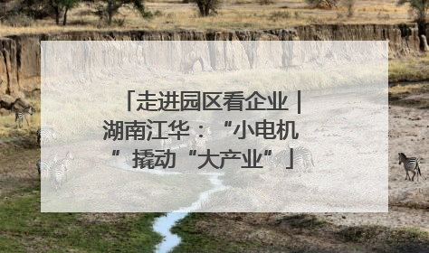 走进园区看企业｜湖南江华：“小电机”撬动“大产业”