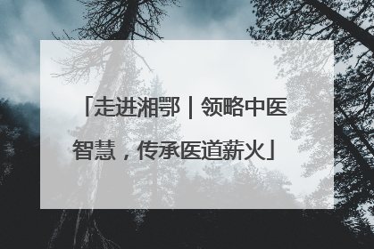 走进湘鄂｜领略中医智慧，传承医道薪火