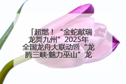 超燃！“金蛇献瑞 龙舞九州”2025年全国龙舟大联动暨“龙腾三峡·魅力巫山”龙舟邀请赛圆满落幕！