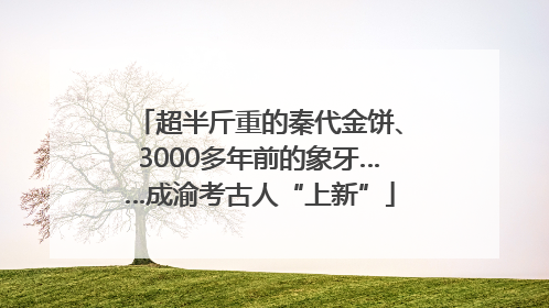 超半斤重的秦代金饼、3000多年前的象牙……成渝考古人“上新”