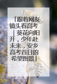 跟着网友镜头看高考｜葵花向阳开，少年赴未来，安乡高考首日的希望图景