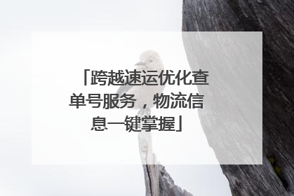 跨越速运优化查单号服务，物流信息一键掌握