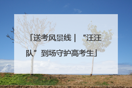 送考风景线｜“汪汪队”到场守护高考生