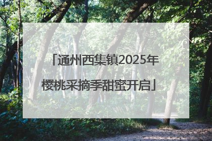 通州西集镇2025年樱桃采摘季甜蜜开启
