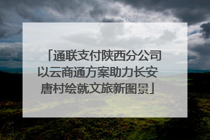 通联支付陕西分公司以云商通方案助力长安唐村绘就文旅新图景