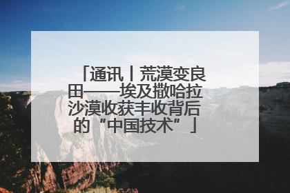 通讯丨荒漠变良田——埃及撒哈拉沙漠收获丰收背后的“中国技术”