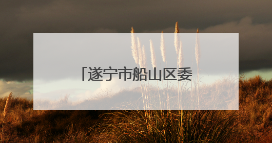 遂宁市船山区委书记段勇接受纪律审查和监察调查