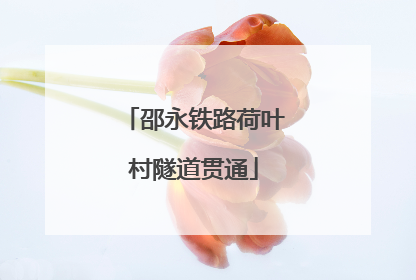 邵永铁路荷叶村隧道贯通