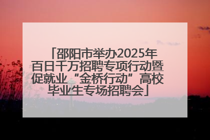 邵阳市举办2025年百日千万招聘专项行动暨促就业“金桥行动”高校毕业生专场招聘会