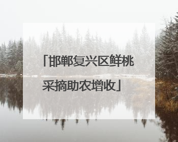 邯郸复兴区鲜桃采摘助农增收