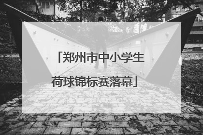 郑州市中小学生荷球锦标赛落幕