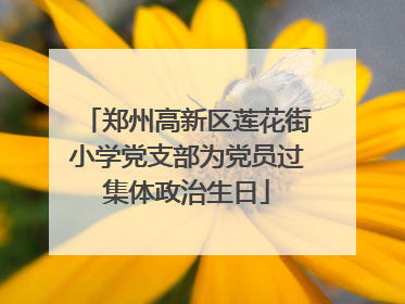 郑州高新区莲花街小学党支部为党员过集体政治生日