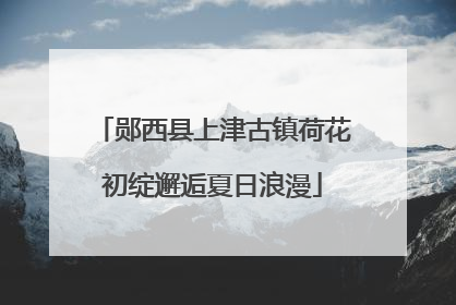 郧西县上津古镇荷花初绽邂逅夏日浪漫