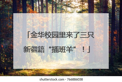 金华校园里来了三只新疆籍“插班羊”！