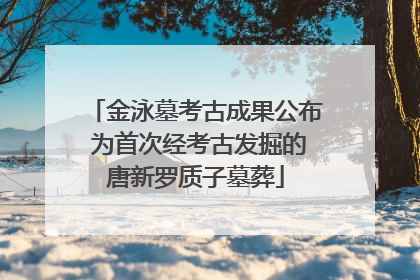 金泳墓考古成果公布 为首次经考古发掘的唐新罗质子墓葬