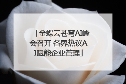 金蝶云苍穹AI峰会召开 各界热议AI赋能企业管理