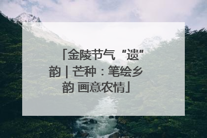 金陵节气“遗”韵｜芒种：笔绘乡韵 画意农情