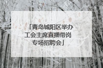 青岛城阳区举办工会主席直播带岗专场招聘会