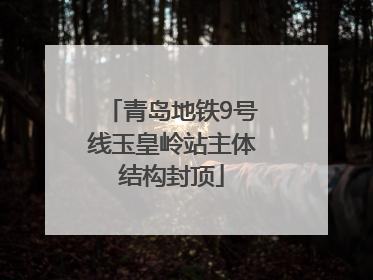 青岛地铁9号线玉皇岭站主体结构封顶