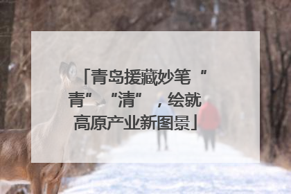 青岛援藏妙笔“青”“清”，绘就高原产业新图景