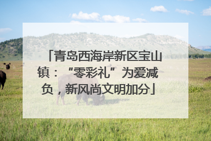 青岛西海岸新区宝山镇：“零彩礼”为爱减负，新风尚文明加分