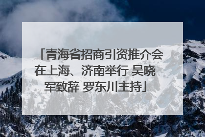 青海省招商引资推介会在上海、济南举行 吴晓军致辞 罗东川主持