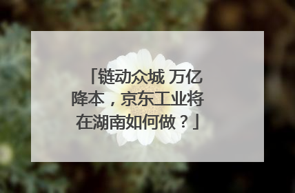 链动众城 万亿降本，京东工业将在湖南如何做？