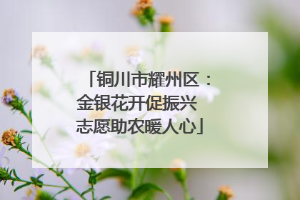 铜川市耀州区：金银花开促振兴 志愿助农暖人心