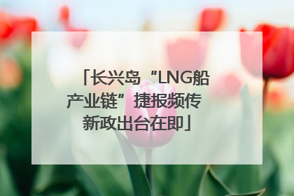 长兴岛“LNG船产业链”捷报频传 新政出台在即