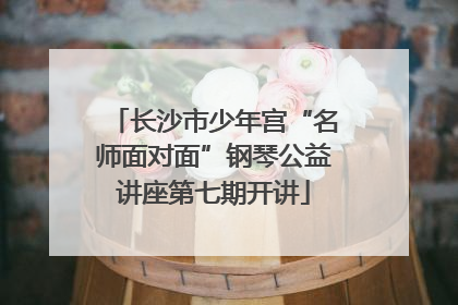 长沙市少年宫“名师面对面”钢琴公益讲座第七期开讲