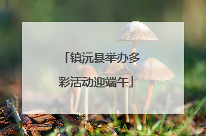镇沅县举办多彩活动迎端午