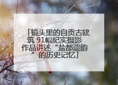镜头里的自贡古建筑 91幅纪实摄影作品讲述“盐都遗韵”的历史记忆