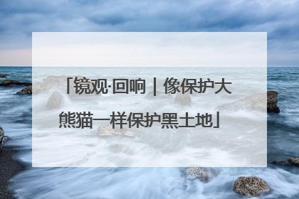 镜观·回响｜像保护大熊猫一样保护黑土地