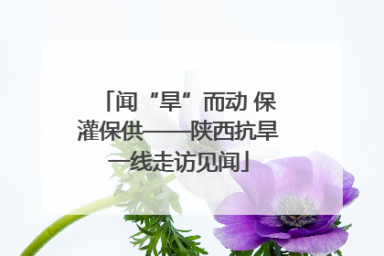 闻“旱”而动 保灌保供——陕西抗旱一线走访见闻