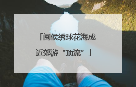 闽侯绣球花海成近郊游“顶流”