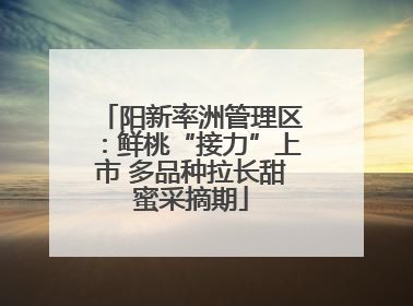 阳新率洲管理区：鲜桃“接力”上市 多品种拉长甜蜜采摘期