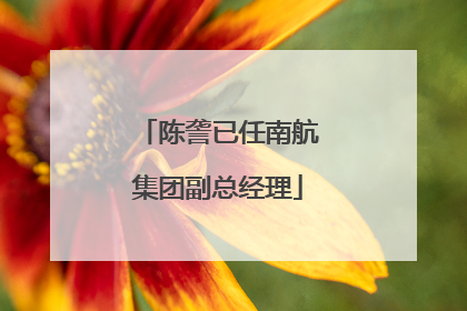 陈詟已任南航集团副总经理