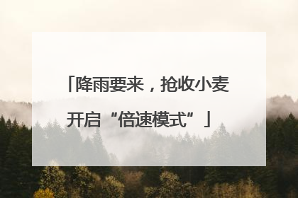 降雨要来，抢收小麦开启“倍速模式”