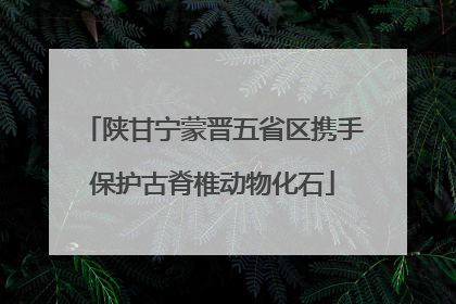 陕甘宁蒙晋五省区携手保护古脊椎动物化石