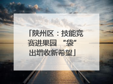 陕州区：技能竞赛进果园 “袋”出增收新希望