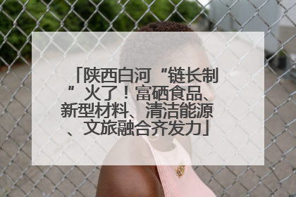 陕西白河“链长制”火了！富硒食品、新型材料、清洁能源、文旅融合齐发力